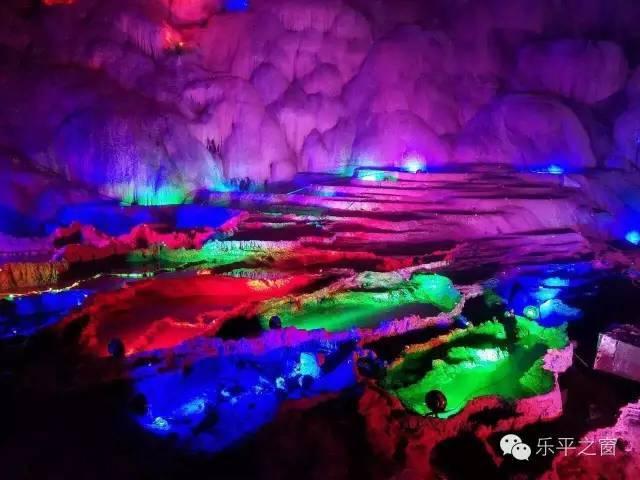 救援达尔马提亚狗