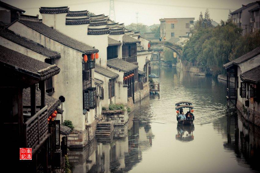 银河中动物逃生